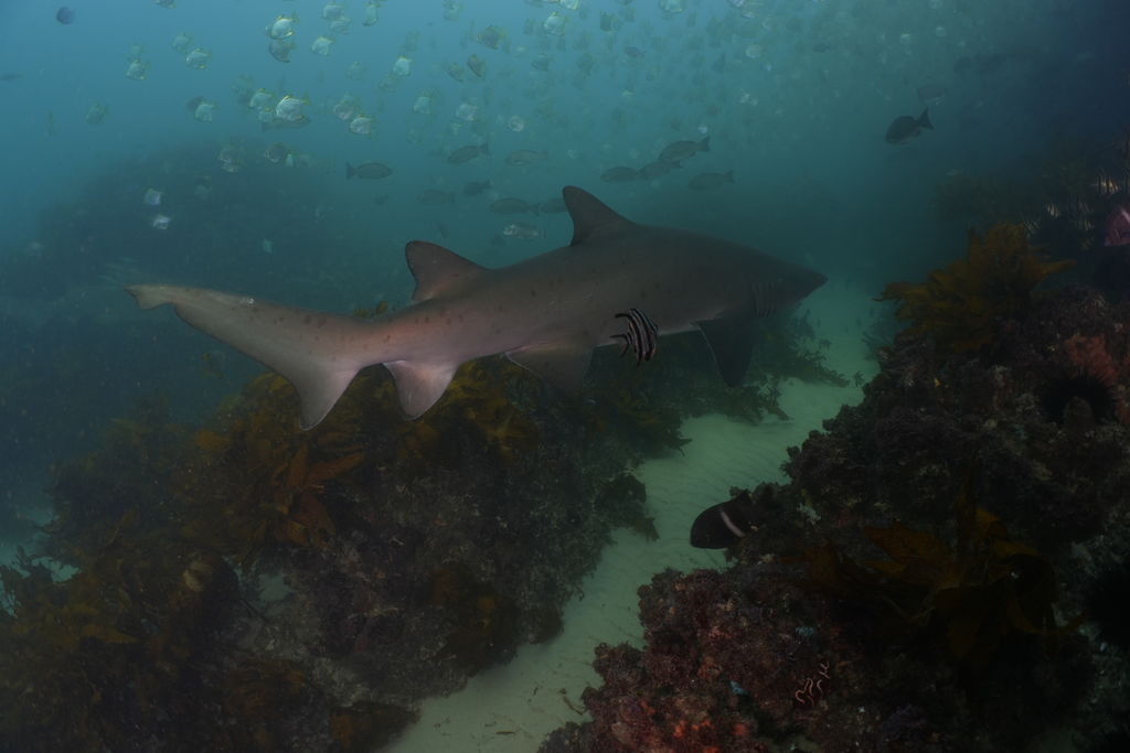 a150ab08-0f3d-47ec-b418-4db3e2a836e9