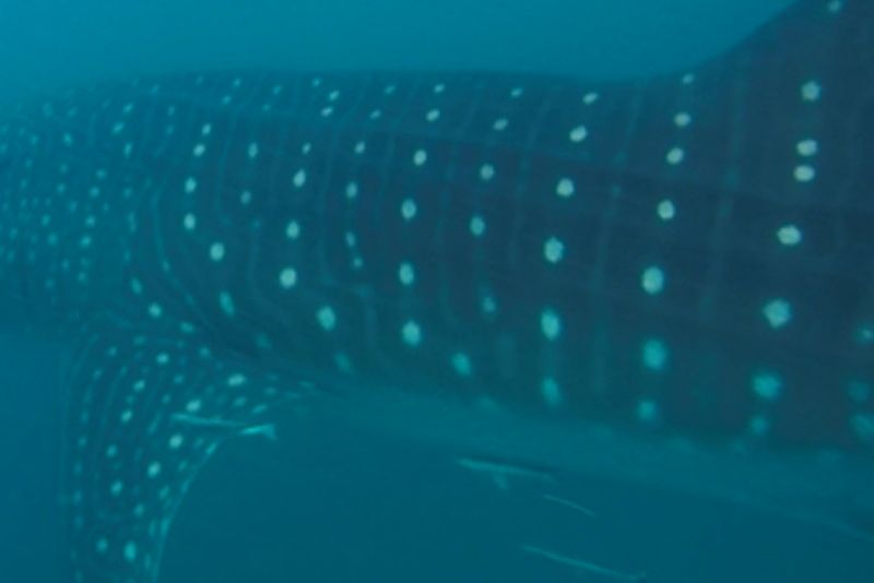 632c47d2-343e-48d8-8570-aa61e5a3168b