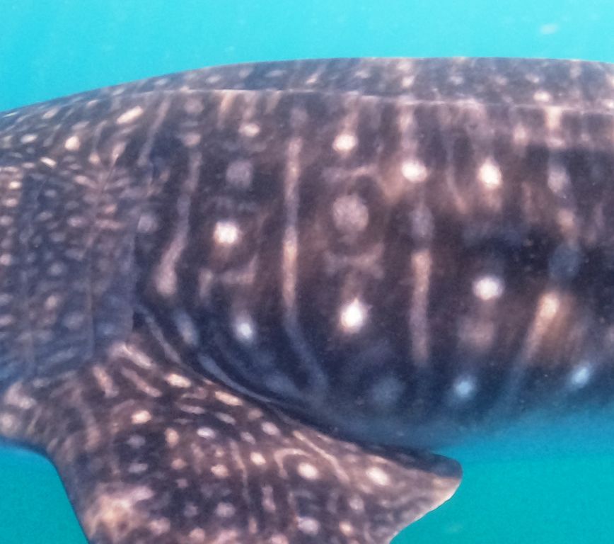 ce68b213-40a8-4a9d-8da6-cd0282e26427