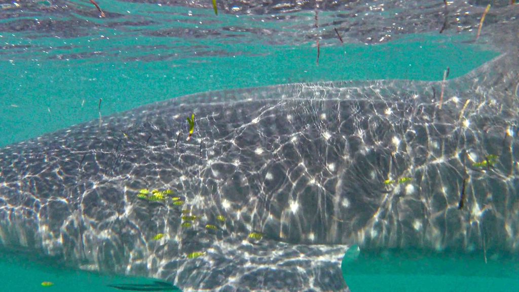 639720c7-af72-4408-8209-b46ae4582642