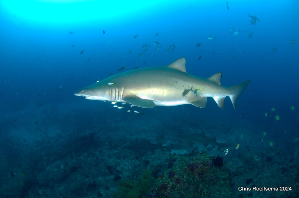 0d60a3aa-d430-47c2-99b5-9c66b4e7f619