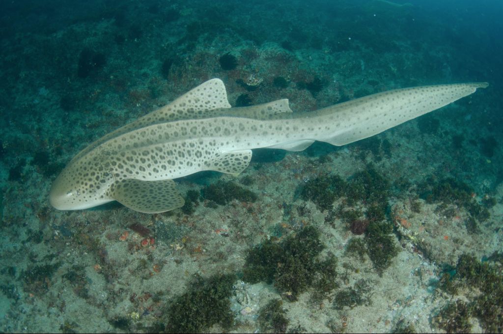 23db88a1-13d5-4fbf-ae7e-849ffbb92b82