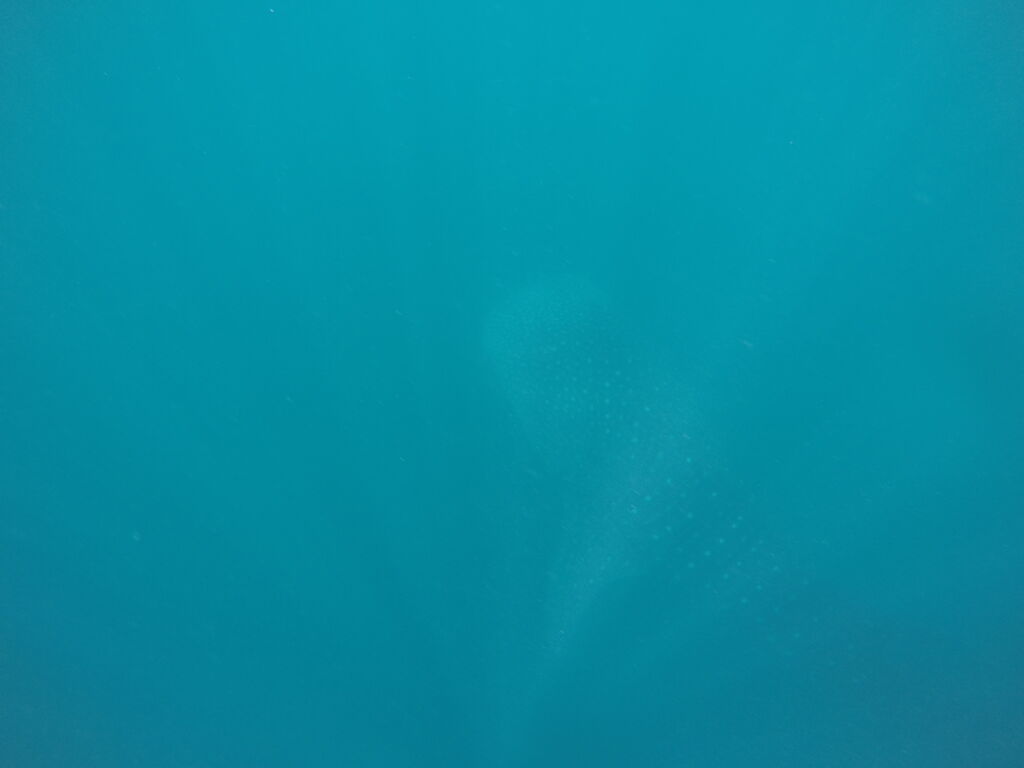 5d97df25-5889-4871-b98e-8fa023a0830f