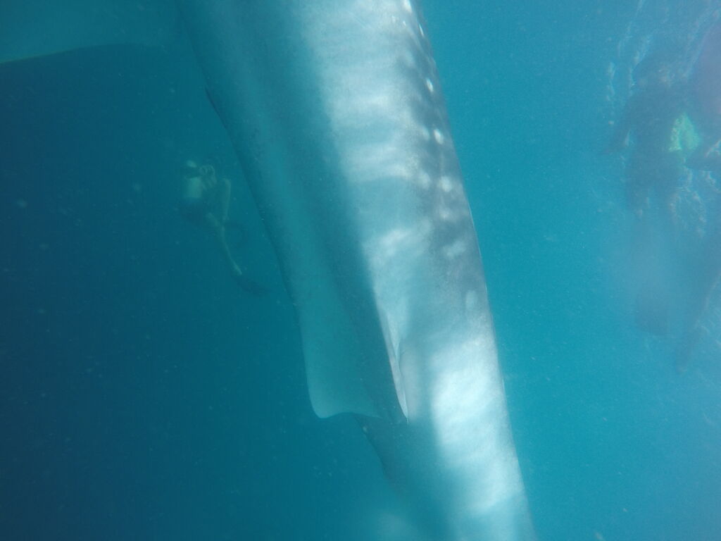 5d97df25-5889-4871-b98e-8fa023a0830f