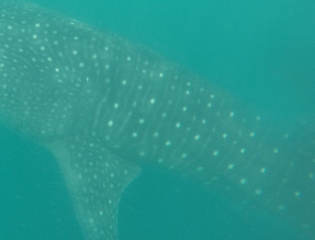 5d97df25-5889-4871-b98e-8fa023a0830f