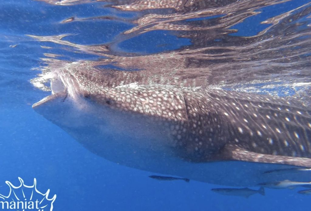 1f758191-80c3-4ffe-8bd3-b7bb3329af6e