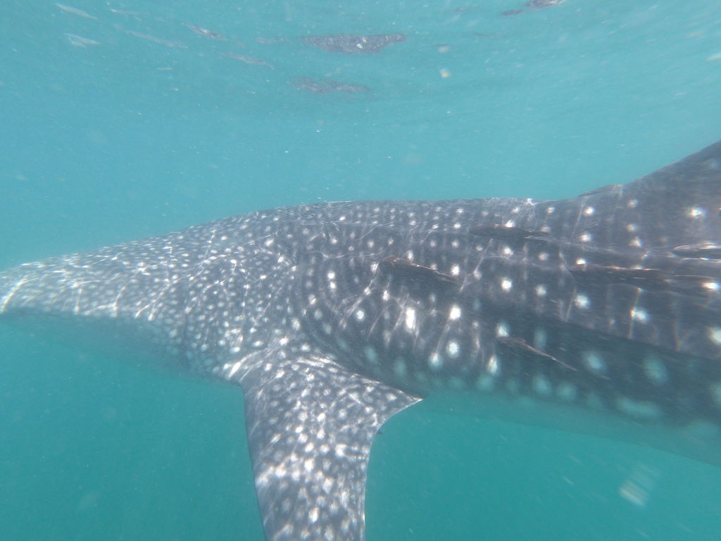 2bac644d-2192-4b02-a4ae-65dadccaac3a