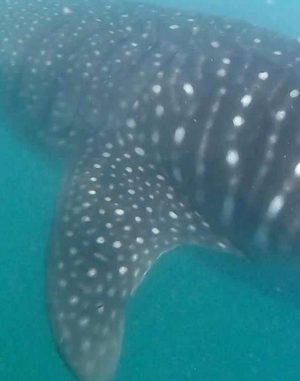 3e18cad3-e861-40fc-b10e-db9de9c53ac7