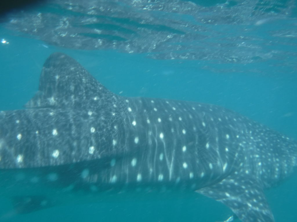 e0d32e37-e81b-4f16-ad0a-2f3a40780321