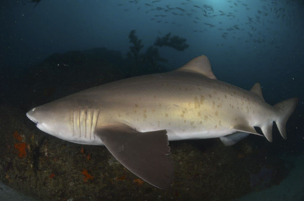 f7b19ef7-3cae-4a9b-a432-88fdb12a4674