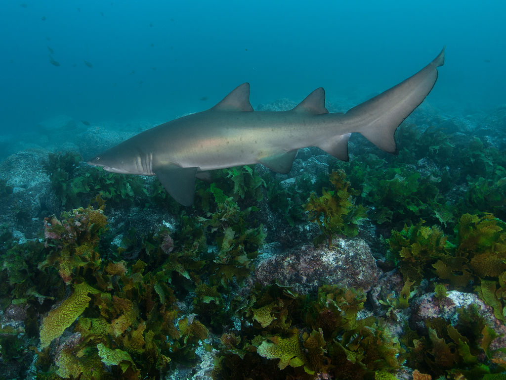 382e6550-9cac-441d-90a5-b3914d1f9b4c