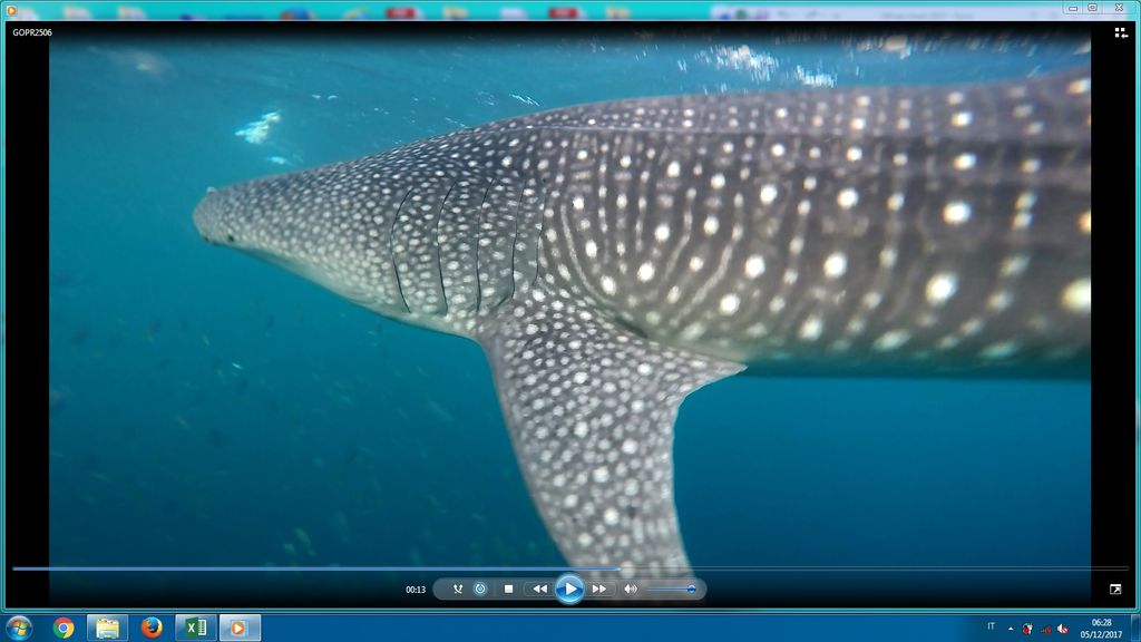 43b123db-7010-4836-97db-568959032714