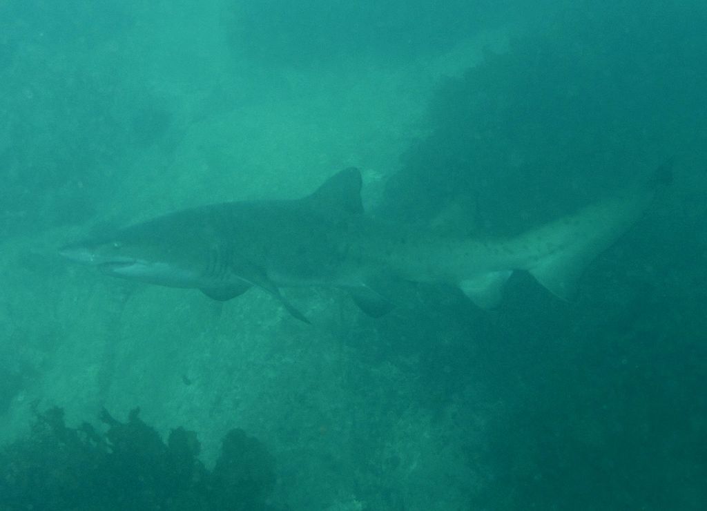 7fe6cf54-2b1b-4f0d-bde9-7d6e89b9d659