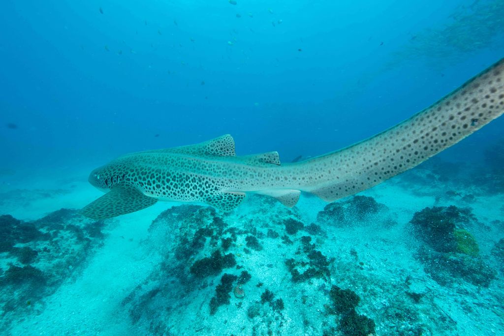 9b0448e1-74f9-42b9-9ca0-d39cbeb00cc9