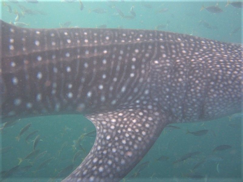 67d081b1-82cf-4fac-8948-d56054b46f2e