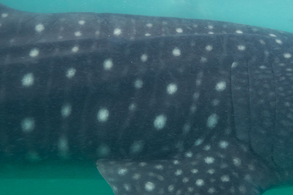 efe83984-3f6d-4c55-b354-2553e35824a4