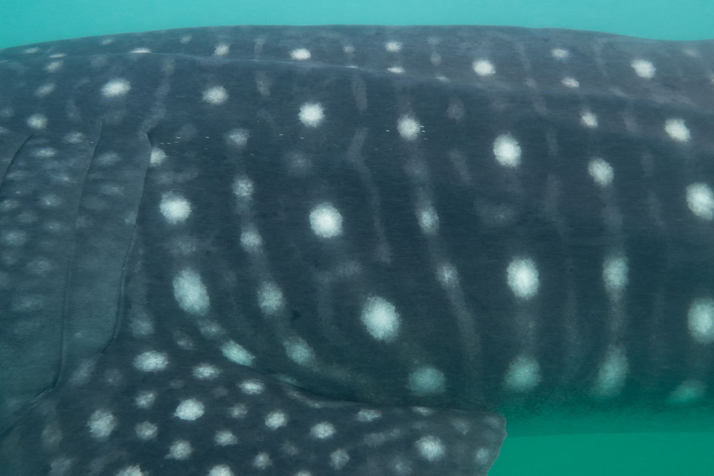 efe83984-3f6d-4c55-b354-2553e35824a4