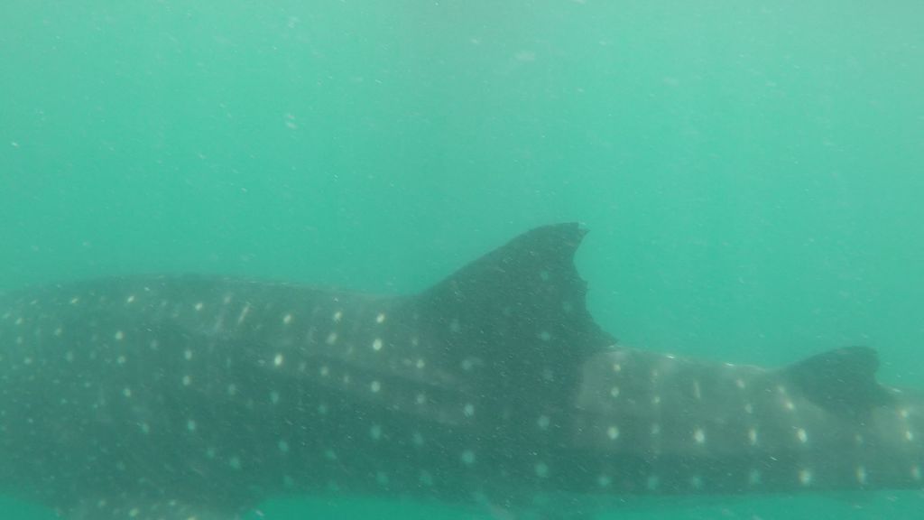 37d373ae-8860-41b1-baa8-28c4896747a1