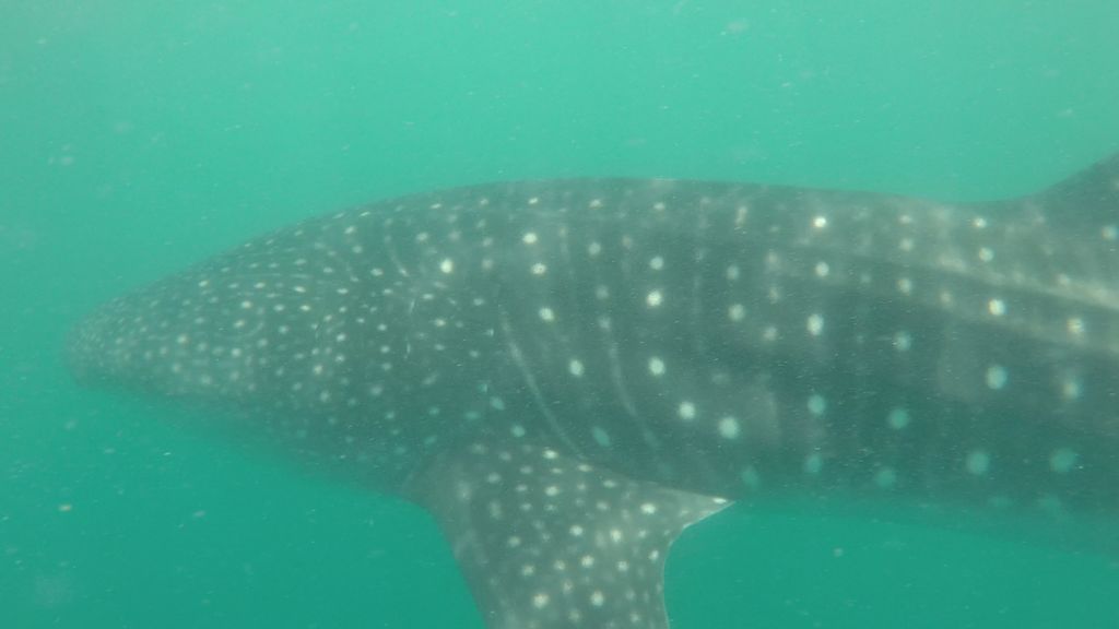 37d373ae-8860-41b1-baa8-28c4896747a1