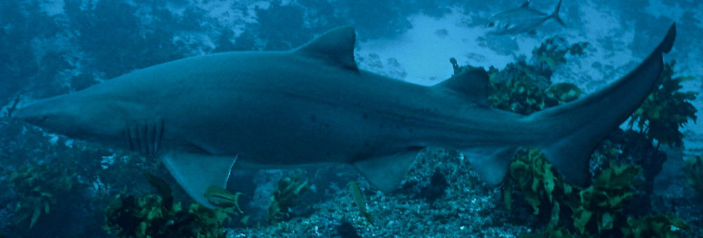 d84d73dc-bbc6-4914-9327-2fccd43ac552