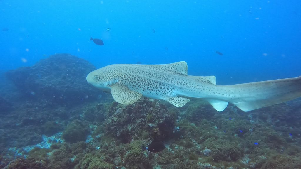 b79d258d-ed0a-477b-aa81-a63db992d14d