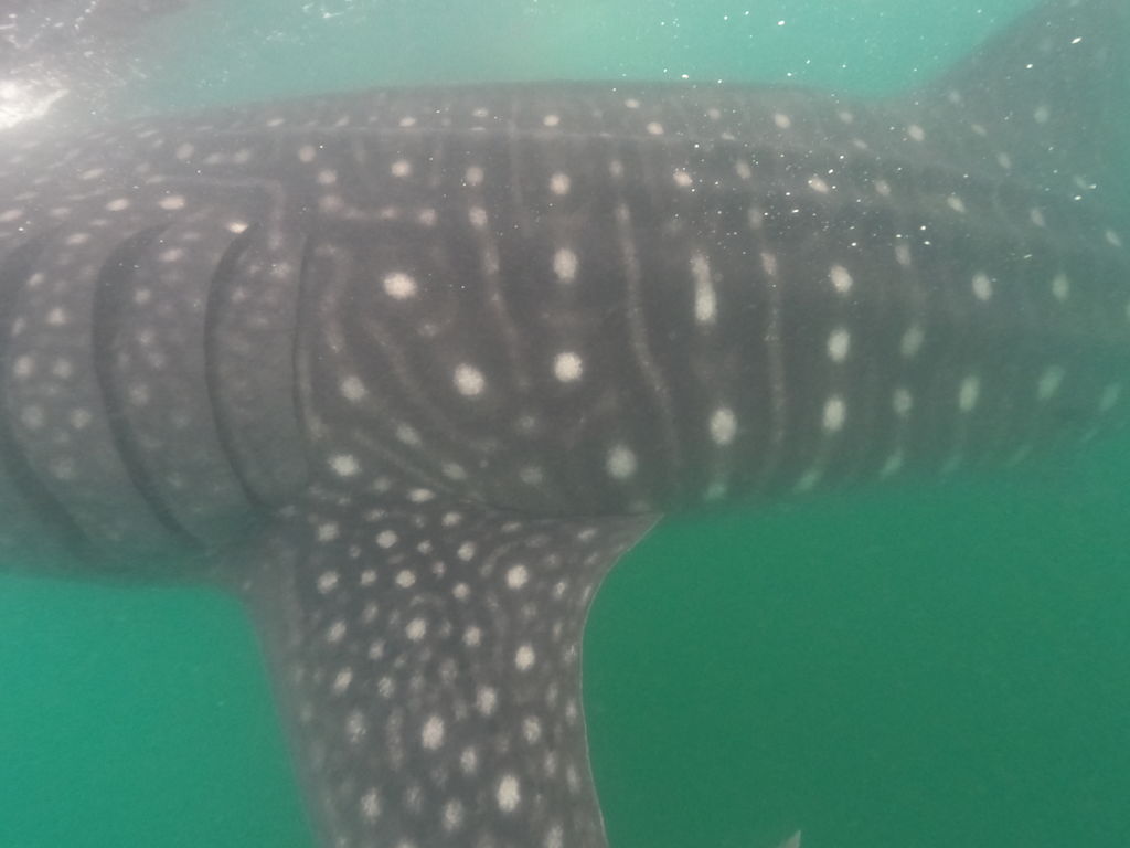 d65ad22d-753d-444d-a2e2-6b6007645b4f