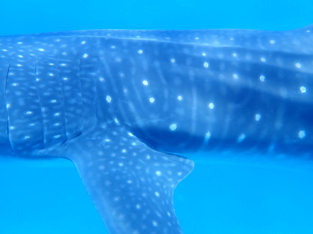 264b30b1-a508-41a5-8cef-b07b29cd0886