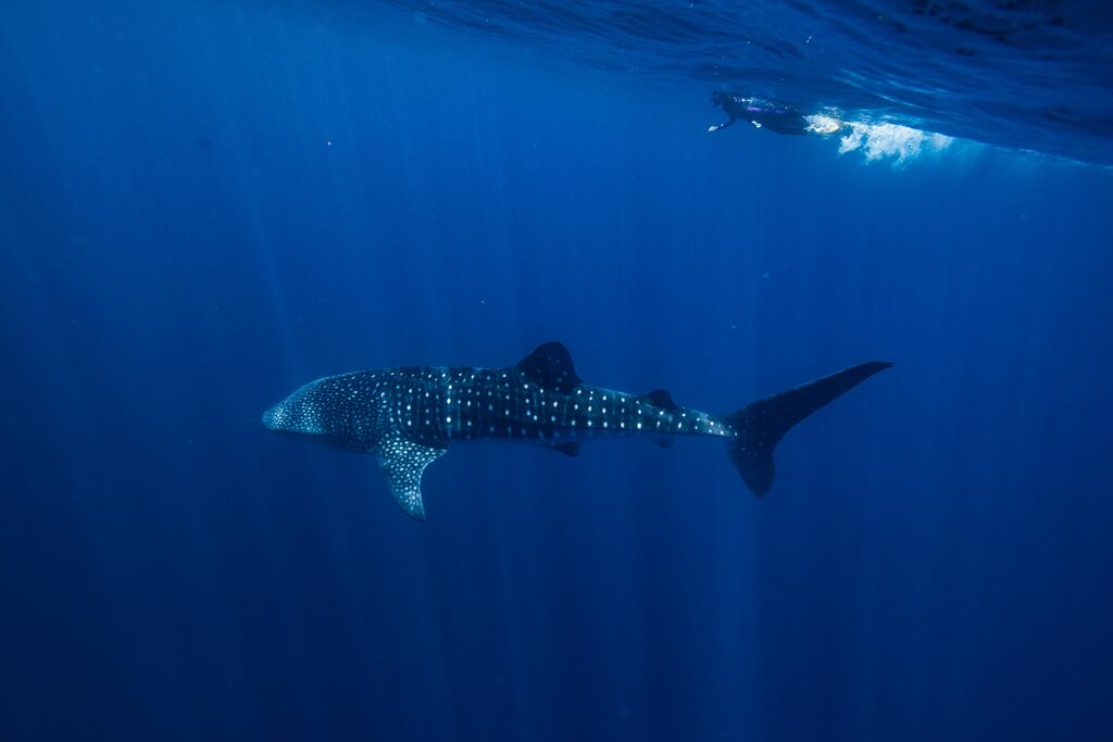 89d6d2a7-ba3a-4408-adb0-0c2f515d6a2e