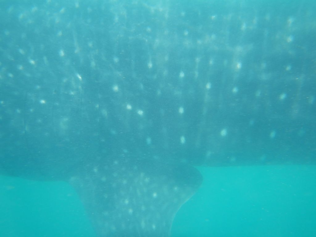 44df3964-4edd-4e7a-84c9-e687cb838743