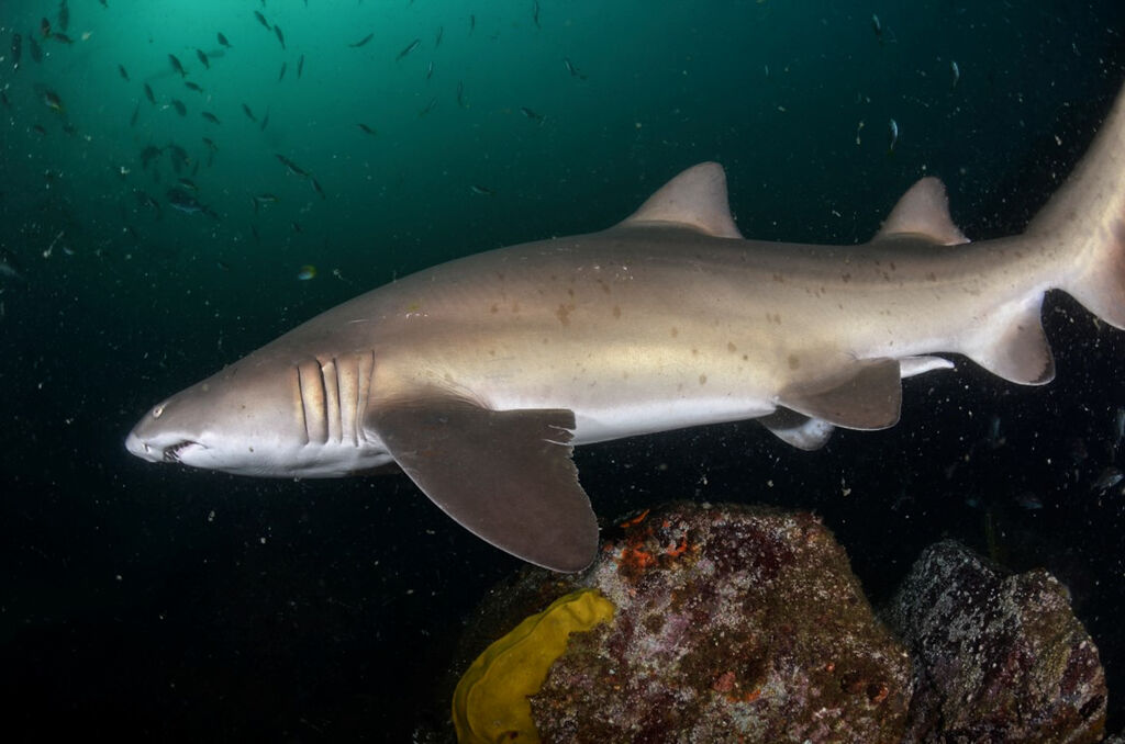 1e640785-6ce6-4ea2-837c-7dc87ed9f21e