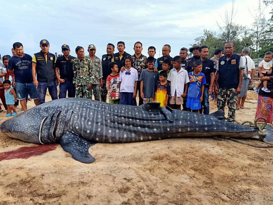 fd640628-eb12-42a7-b00a-2ecb00693ba0