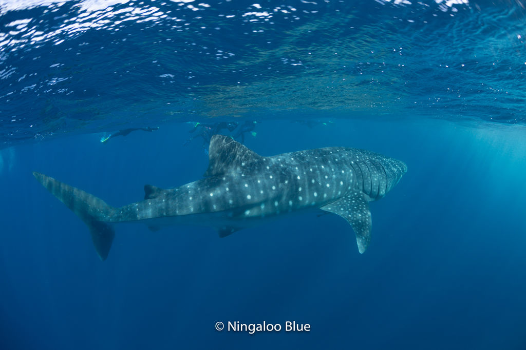 406374cd-f80f-4609-864e-9357d71e8dd6