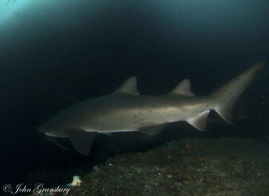 910535c9-67ca-4a0a-8483-f7d205a30cac