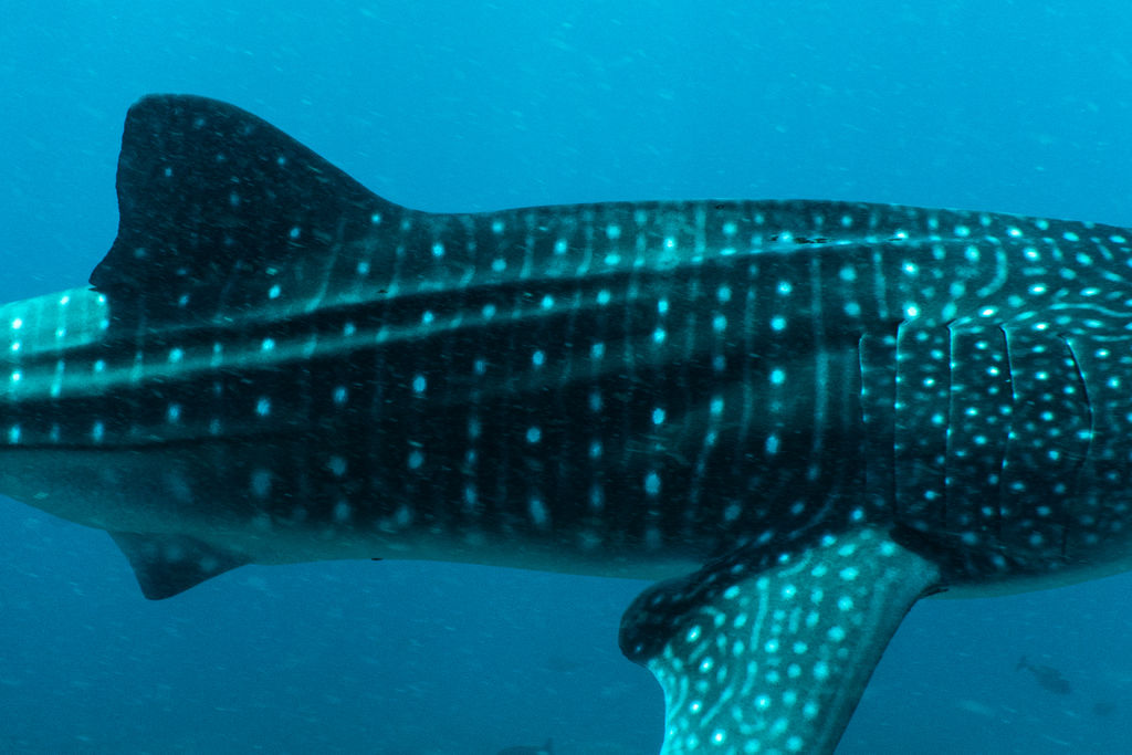 336eb9a6-72a7-4036-b7d5-ca488d44a555