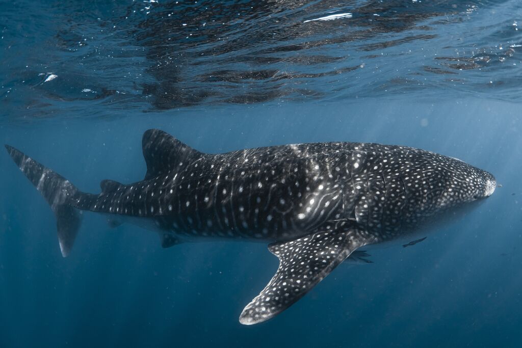 01649354-40f9-45ea-a85d-31e0d11e5dd1