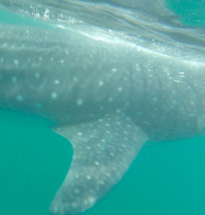 dcf0deeb-ae1e-4847-a581-daf54955c022