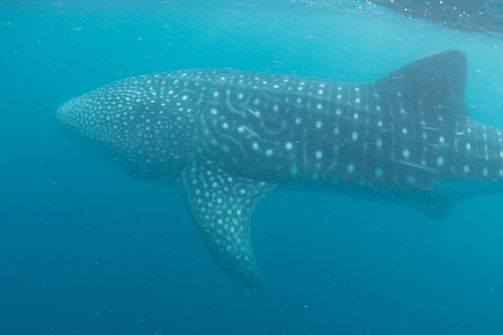 b9c052b3-45bc-43f1-a6e3-aec18ae8551f