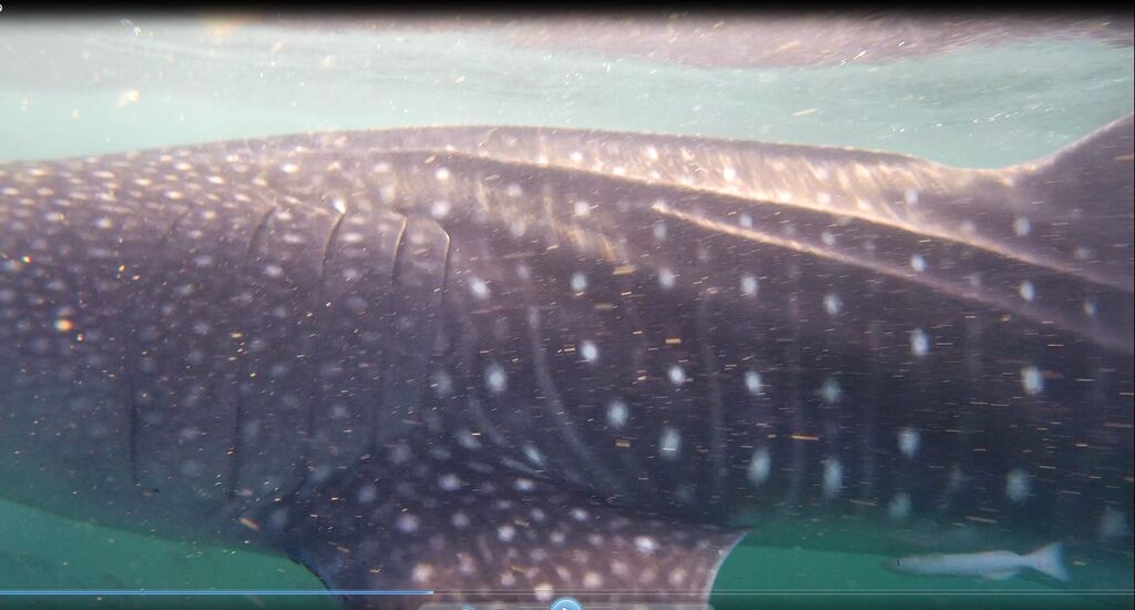 5f757632-34ea-4738-a6a9-1db7cb4c8620