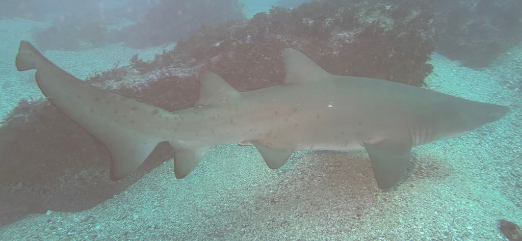 53612317-c837-4af7-a299-86df2867ad1f