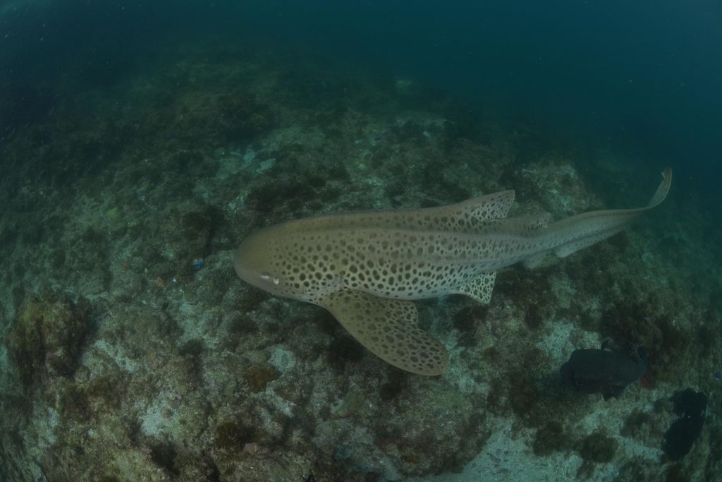 f6483acc-1f26-4608-80ae-9cc8a54744e9