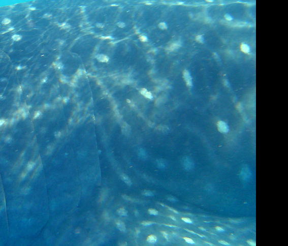 5cad7328-b714-4928-93c1-528d89048e66