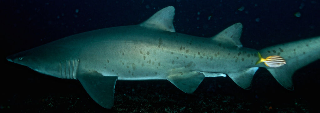 0fa968e4-7333-4f59-ac6b-561d90a1a498