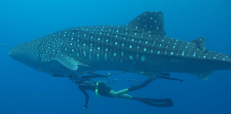 b7b32193-11ec-4bc5-93b6-918cc26be58e