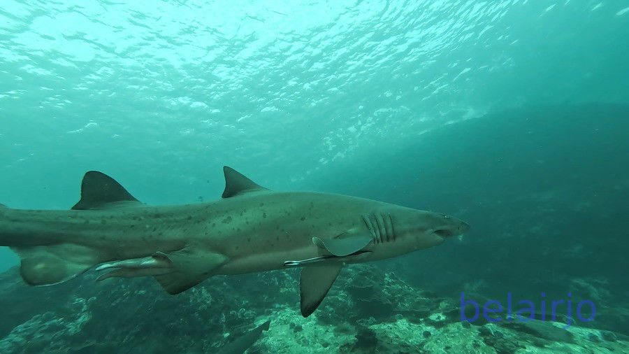 b259f772-f6ec-4afd-bc58-08916a50af4e