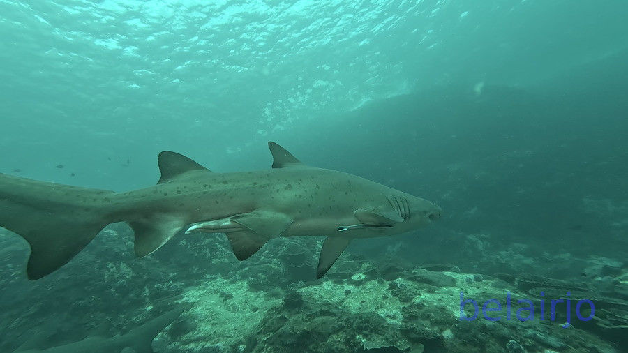 b259f772-f6ec-4afd-bc58-08916a50af4e