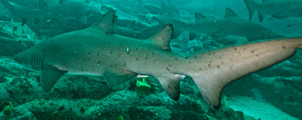 6885c86e-1cac-41fa-a280-8efd20e5d94d