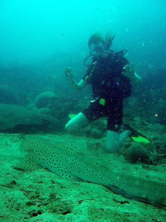 d305398a-b8a0-461c-89b4-1f65d197d2b3