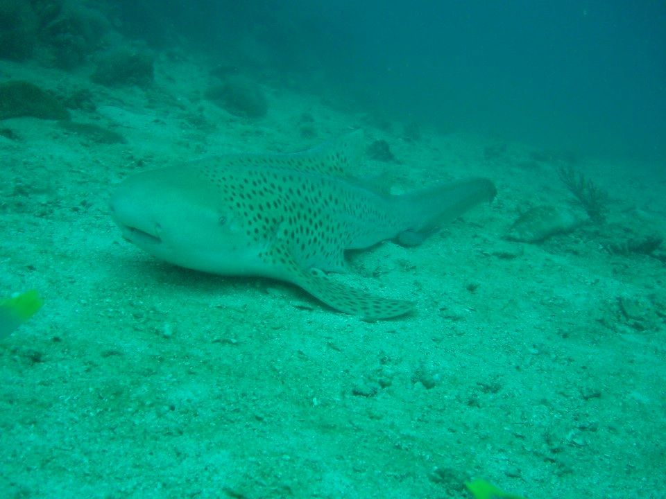 d305398a-b8a0-461c-89b4-1f65d197d2b3