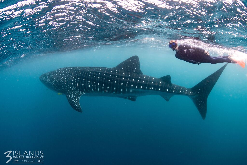 90c07d4c-2d53-4e8c-8c26-35c2974f9cf7