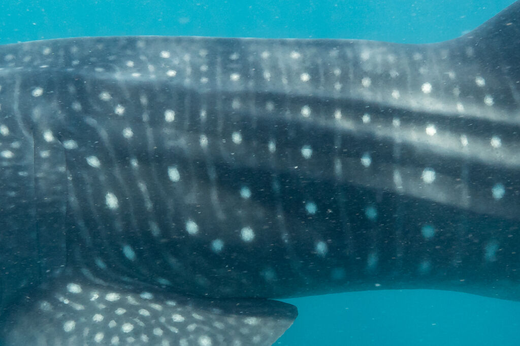 3102879b-a71b-4cd7-a2a6-fc49aa62c365